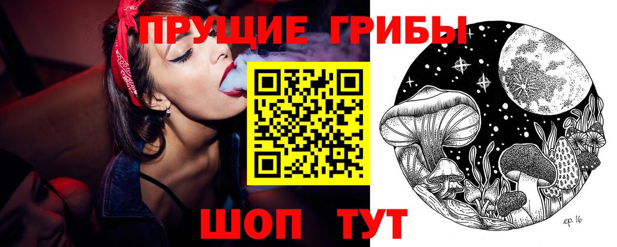 Галлюциногенные грибы Psilocybine cubensis Медногорск