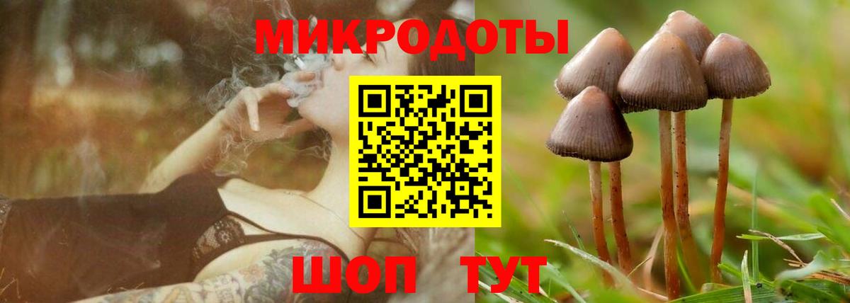 Псилоцибиновые грибы GOLDEN TEACHER  Псилоцибиновые грибы прущие грибы  Вход с VPN  Медногорск 